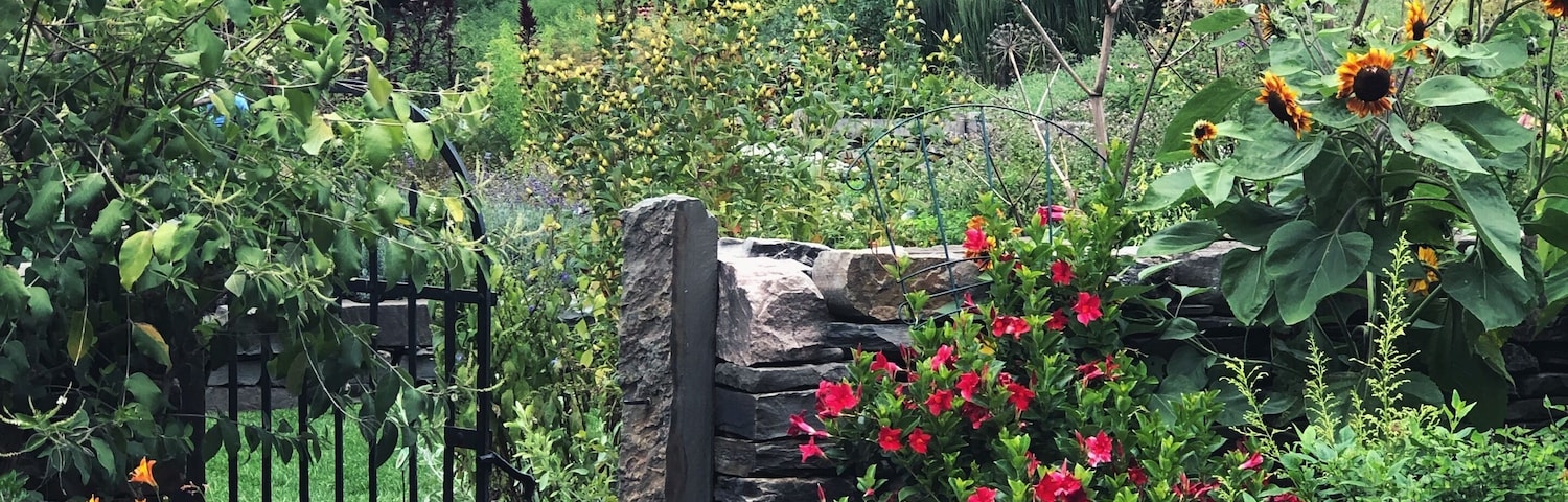 Un jardín con muro de piedra, una reja metálica y diversas plantas florecientes.