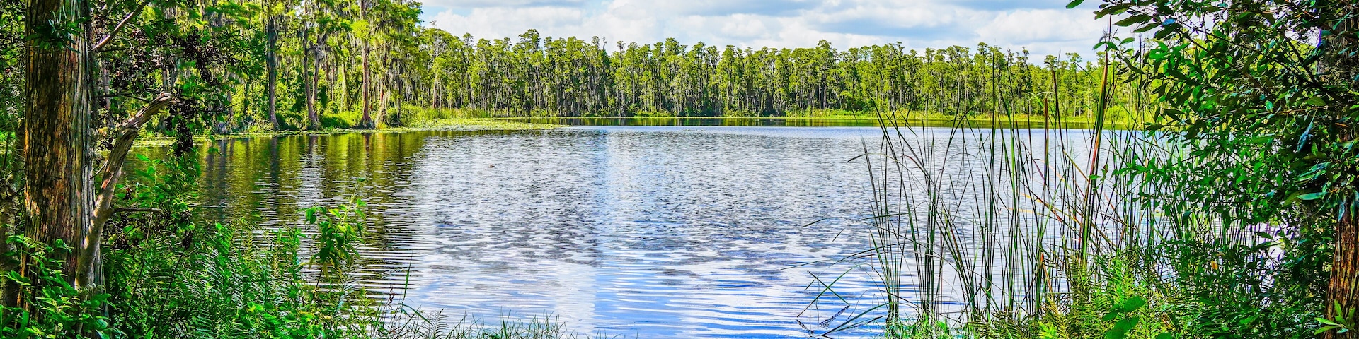 Tampa, FL, USA: 09 01 2024: The landscape of lake park in Tampa, Florida