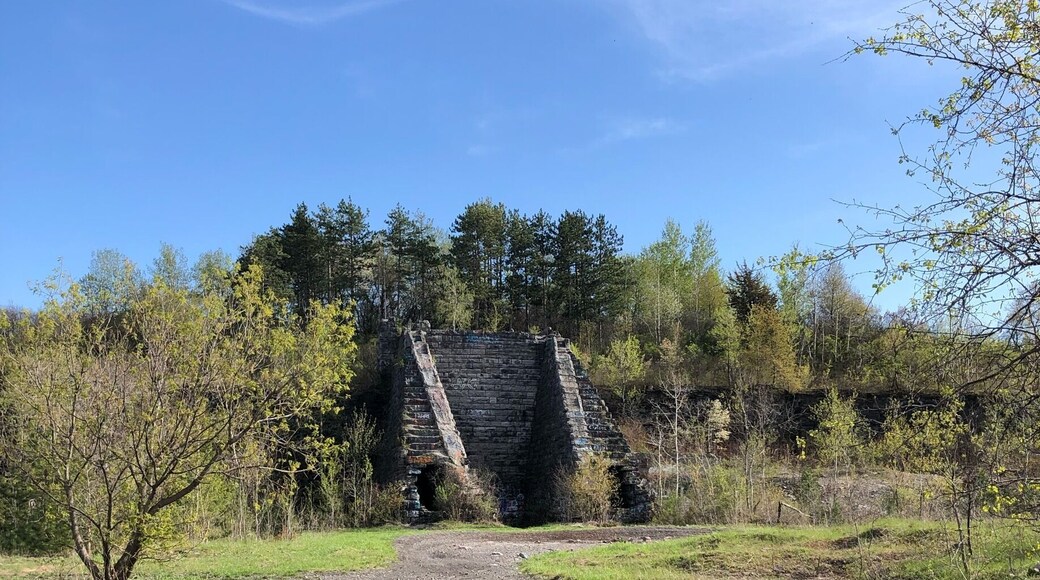 Very cool out of the way place in Syracuse it was the 1918 site of the ‘Salt Cities’ biggest explosions and tragedy. Today it looks like Mayan Ruins.