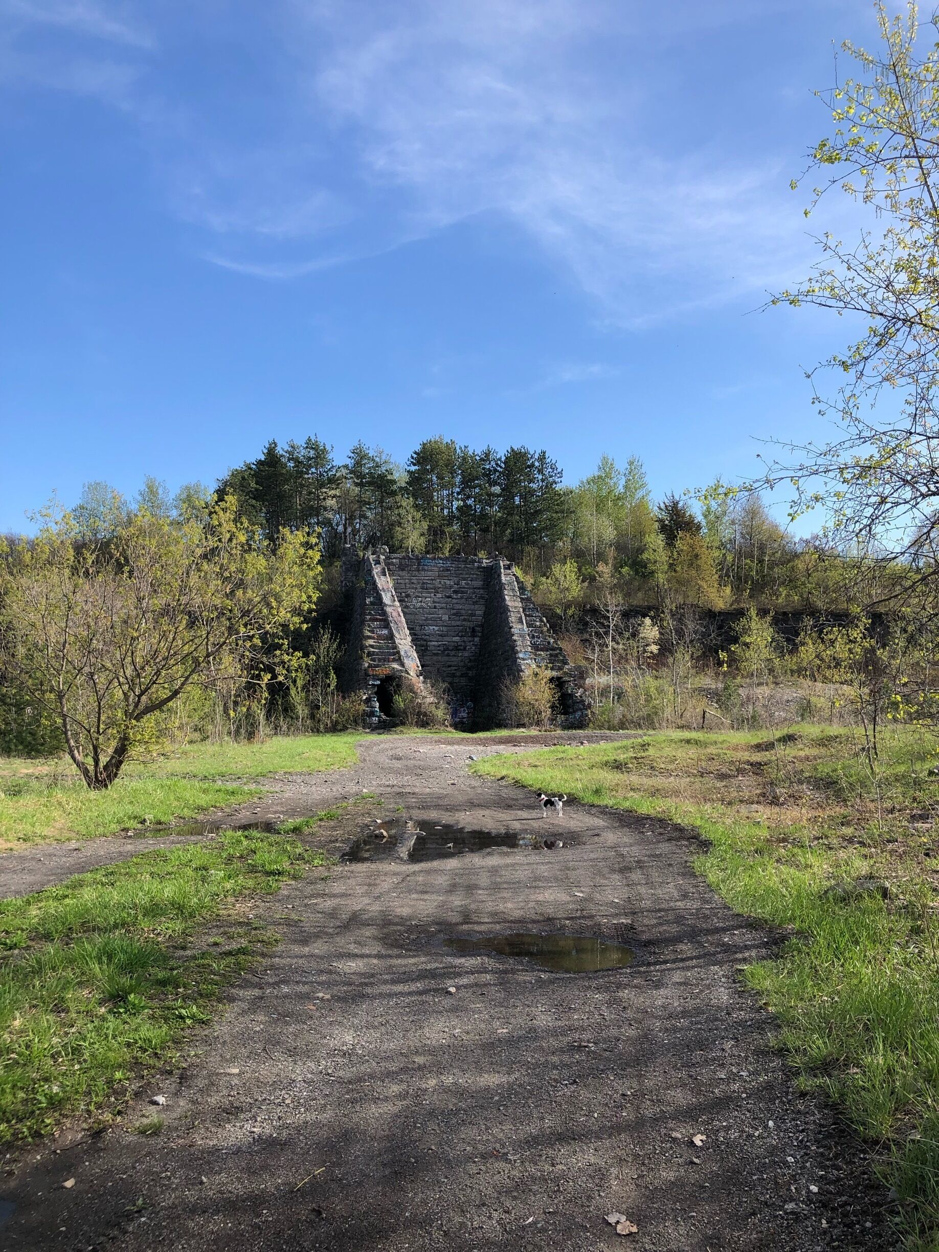 A rural landscape with a dilapidated stone structure, a dirt path, and surrounding greenery.