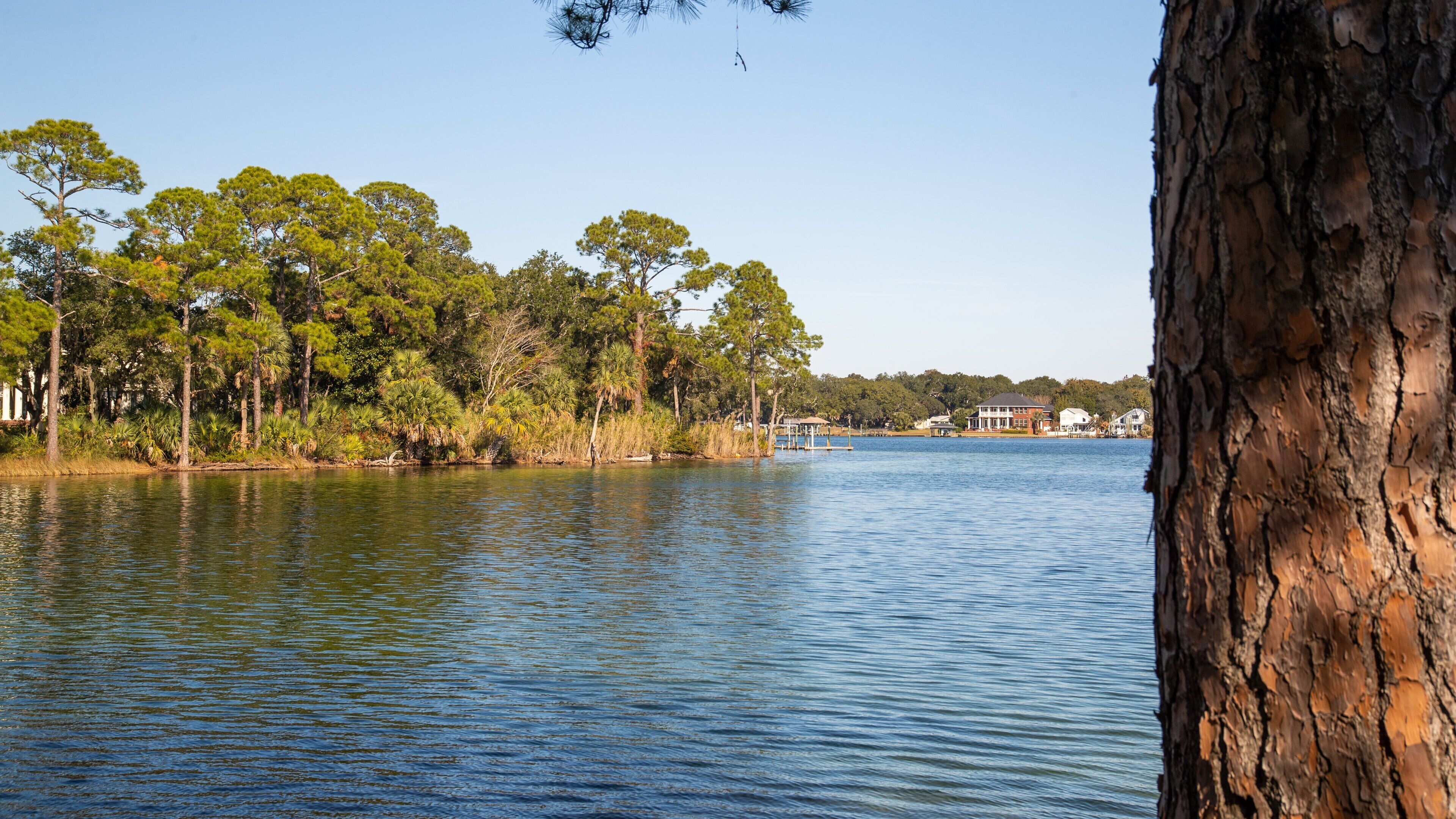 A calm lake with a dock, surrounded by trees and houses.