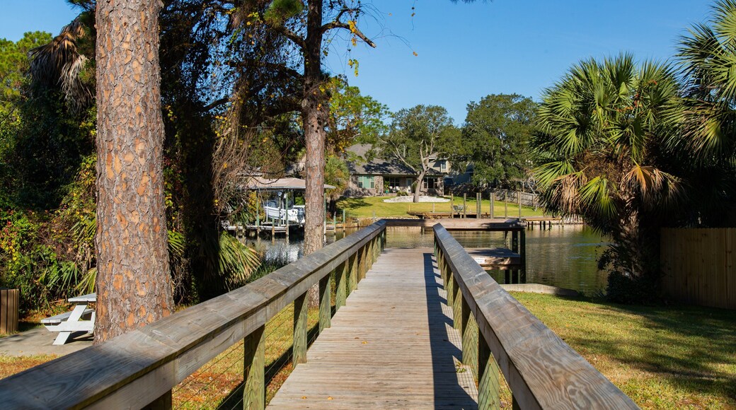 Cinco Bayou showing a bridge and a pond