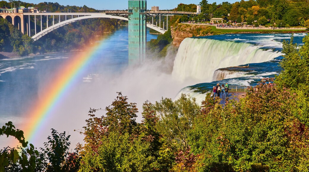A waterfall with a rainbow, a bridge, and lush greenery.