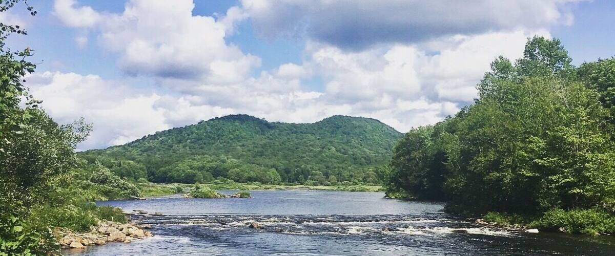 A river flowing through a forested valley with a mountain in the background.