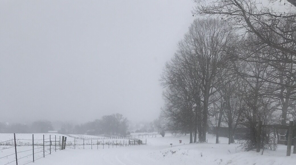 Just another beautiful snow day! No place like home in Kentucky!