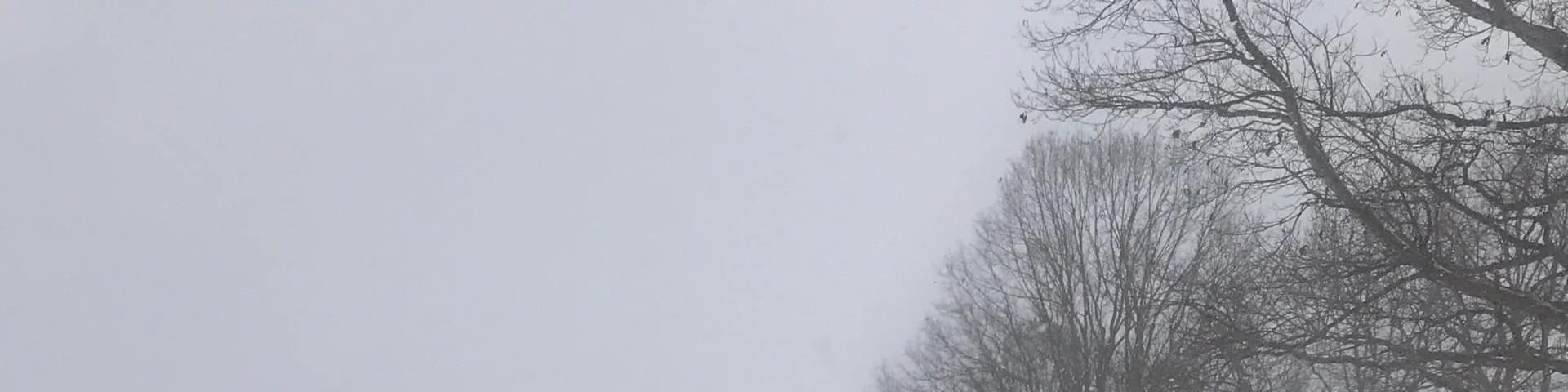 Just another beautiful snow day! No place like home in Kentucky!