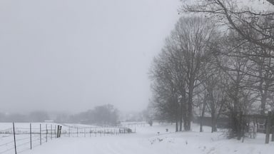Just another beautiful snow day! No place like home in Kentucky!
