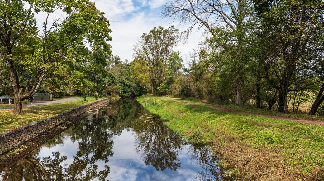 Scenic View Delaware Canal