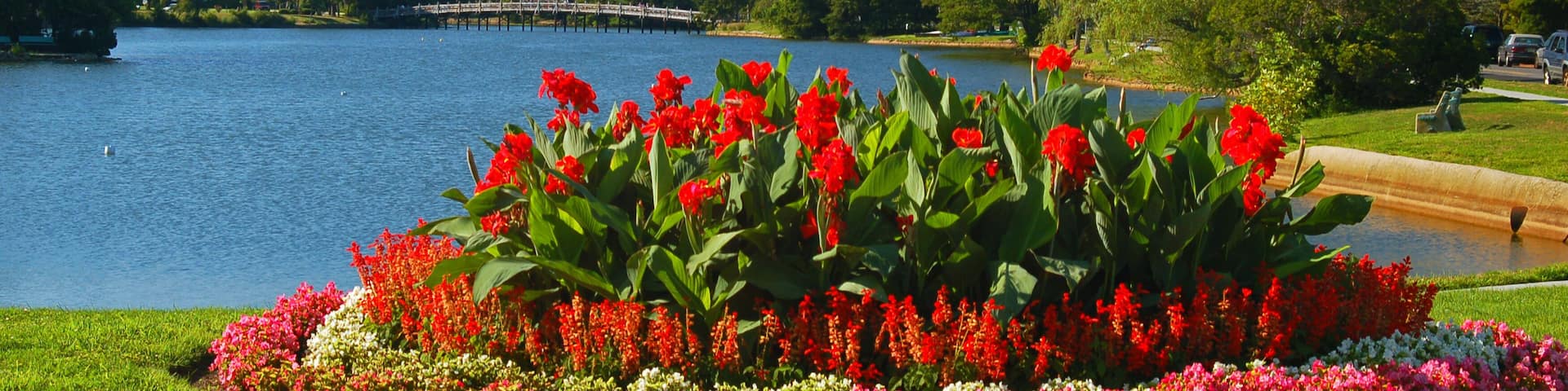 A beautiful, blooming summer garden sits at the edge of a serene lake