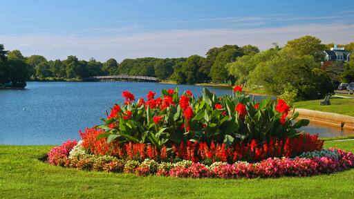 ๋ ์ดํฌ ์ฝ๋ชจ