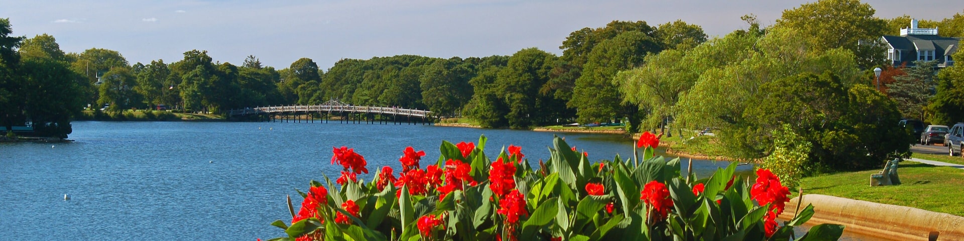 A beautiful, blooming summer garden sits at the edge of a serene lake