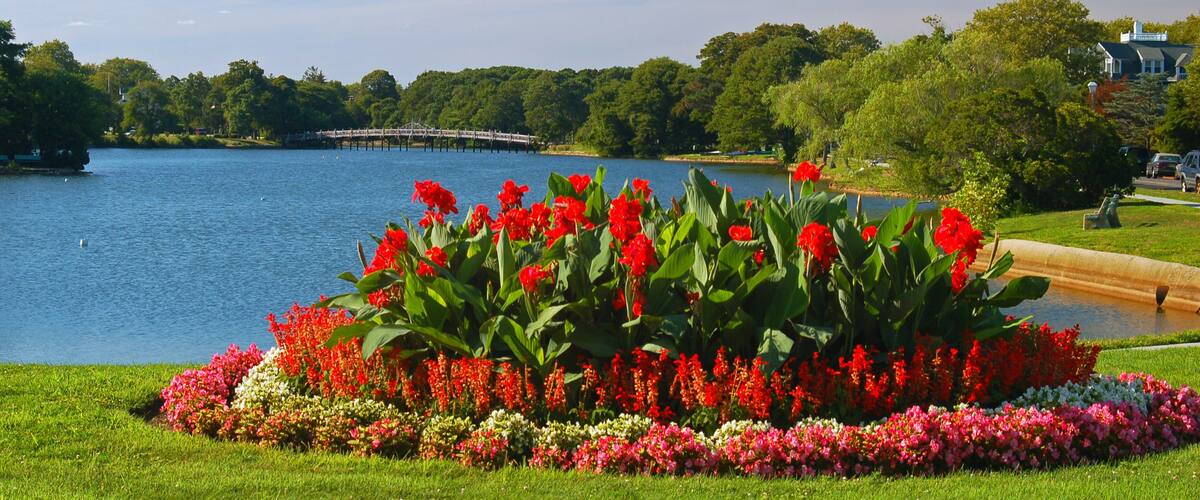 A lake surrounded by lush greenery and vibrant flower beds.