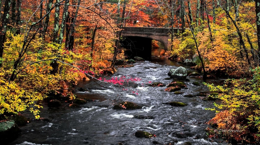 Fall in New Hampshire