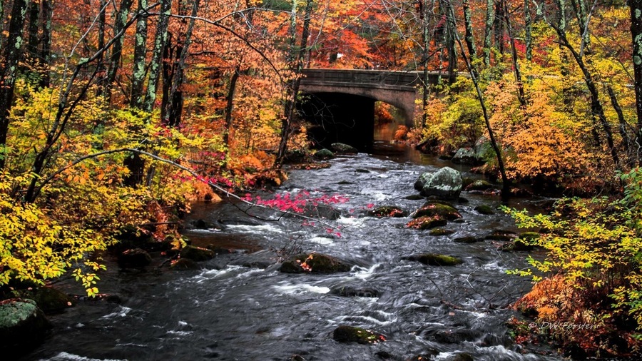 Fall in New Hampshire