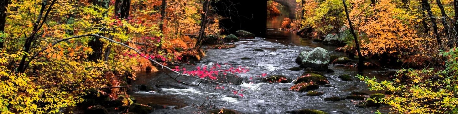 Fall in New Hampshire