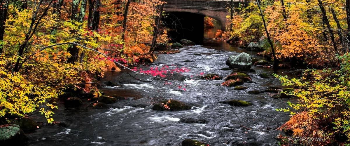 A river flowing under a bridge surrounded by autumn foliage.