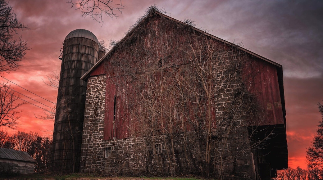 Waking up on the farm in Goldsboro PA.