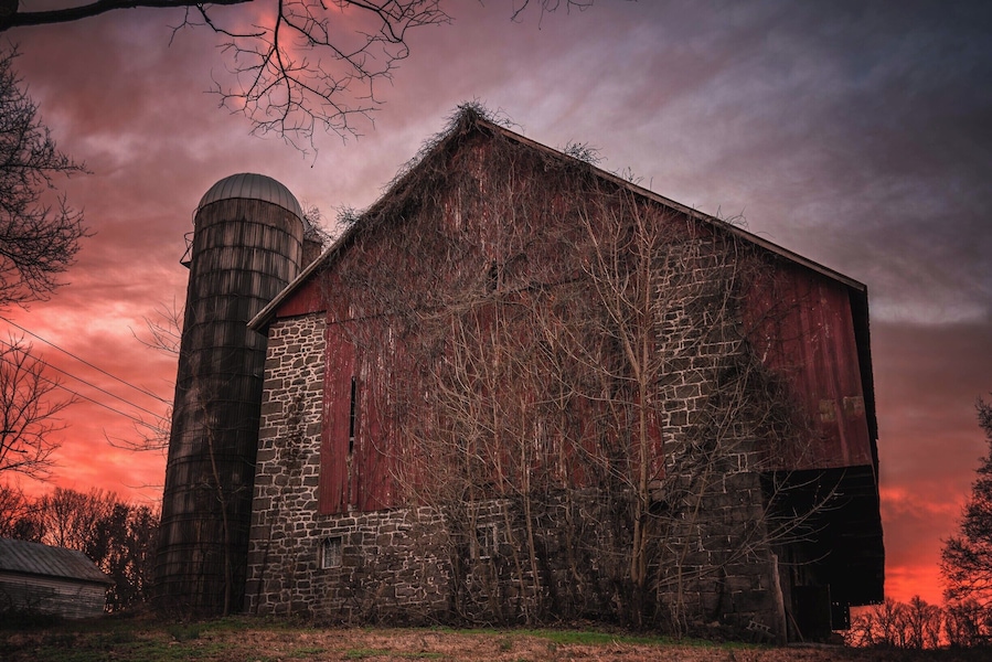 Waking up on the farm in Goldsboro PA.