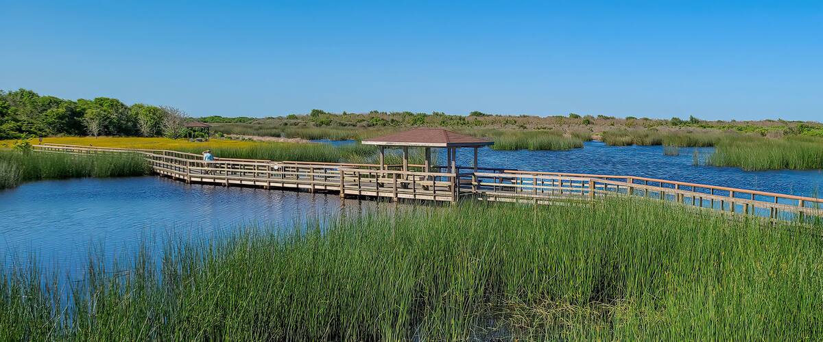 A wooden bridge over a calm lake surrounded by tall grasses and a clear blue sky.