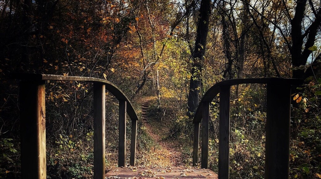 Wandering in the Peace Park.