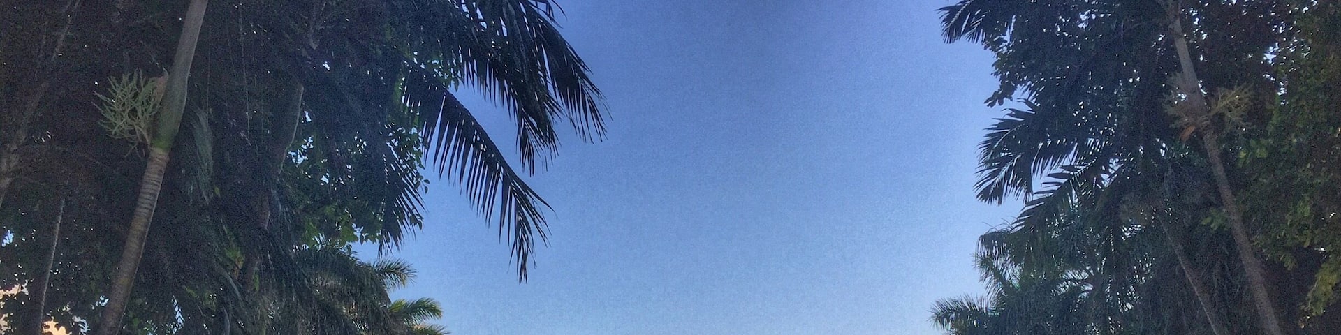 The perfection of Indian Creek Country Club astounds...
The golf course is not shabby either ;)
Photo taken while attending the Alpha-1 Foundation's Celebration of Life fundraiser