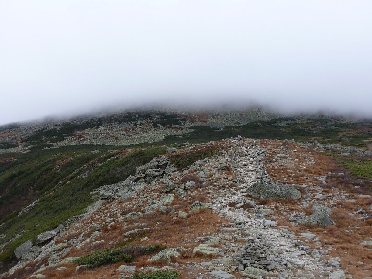 A rocky mountain path with sparse vegetation and a foggy background.