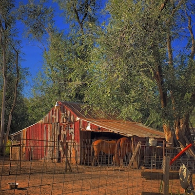 Old town near Exit 101, I-40, Oklahoma. Had a really good time driving around this really neat old town.
