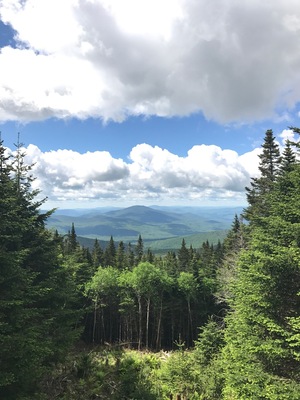 On the way to the top of Moosilauke #takeahike