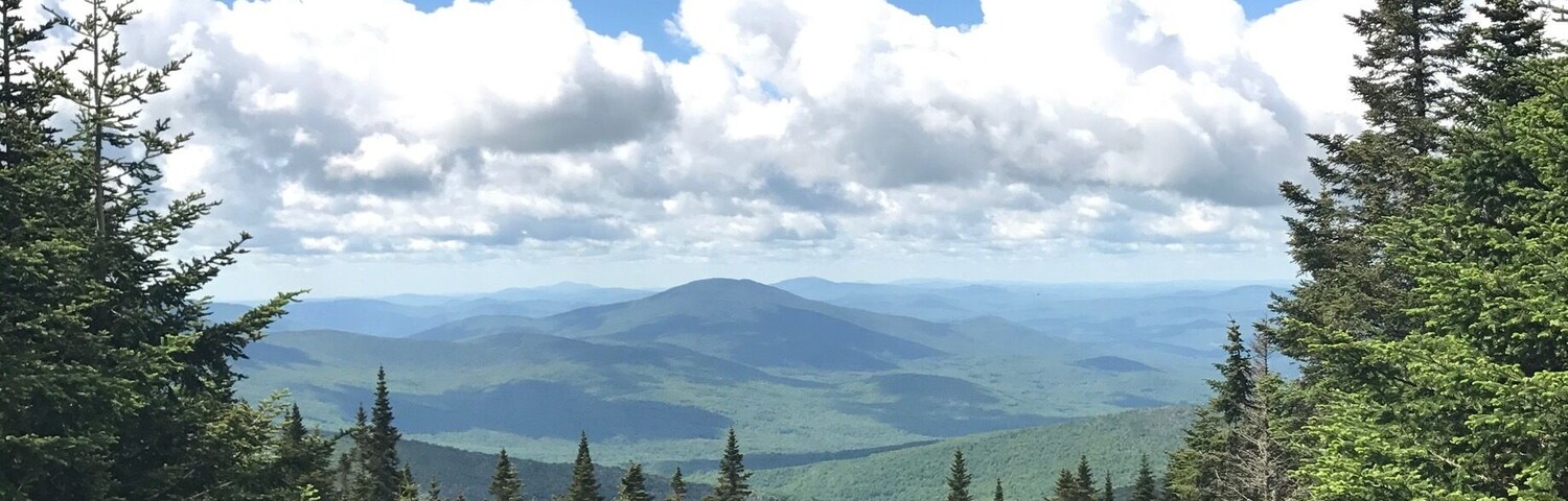 On the way to the top of Moosilauke #takeahike