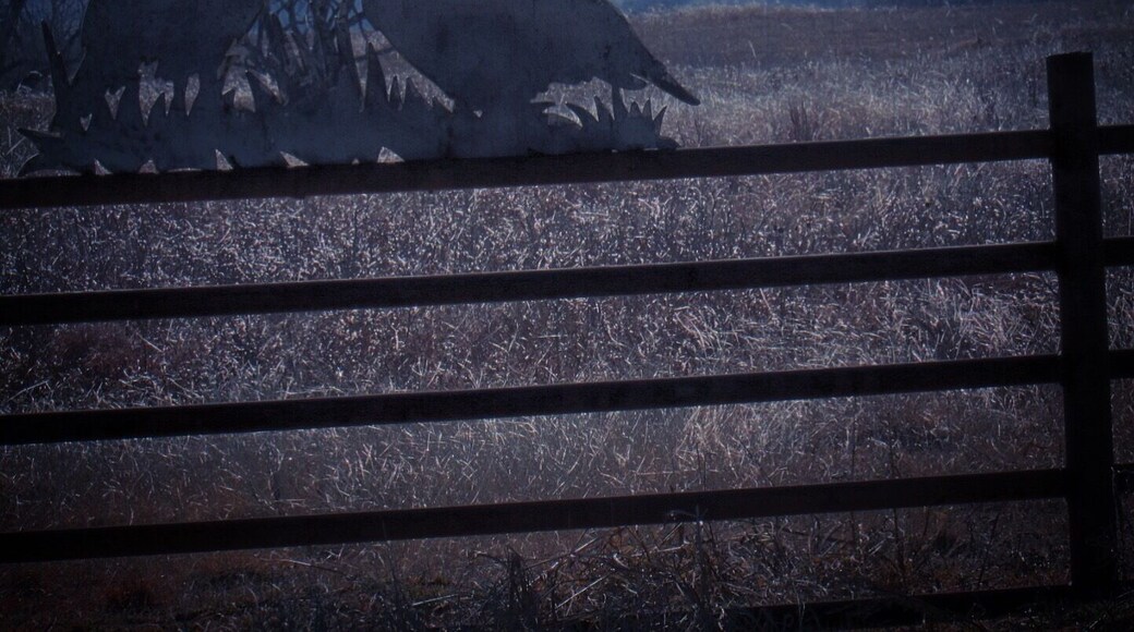 The terrain slopes down to Quartz Mountain State Park, about 30 miles southeast of this interesting fence art on Highway 55 east of Carter, Oklahoma.