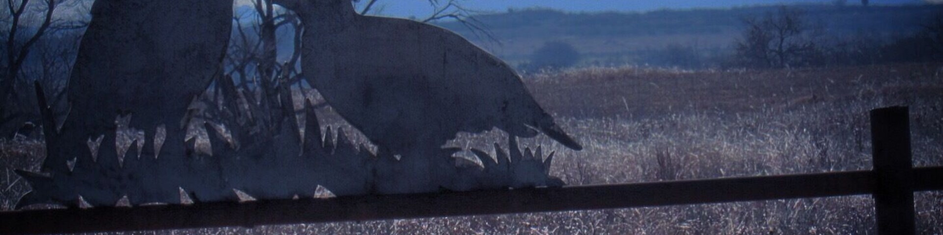The terrain slopes down to Quartz Mountain State Park, about 30 miles southeast of this interesting fence art on Highway 55 east of Carter, Oklahoma.