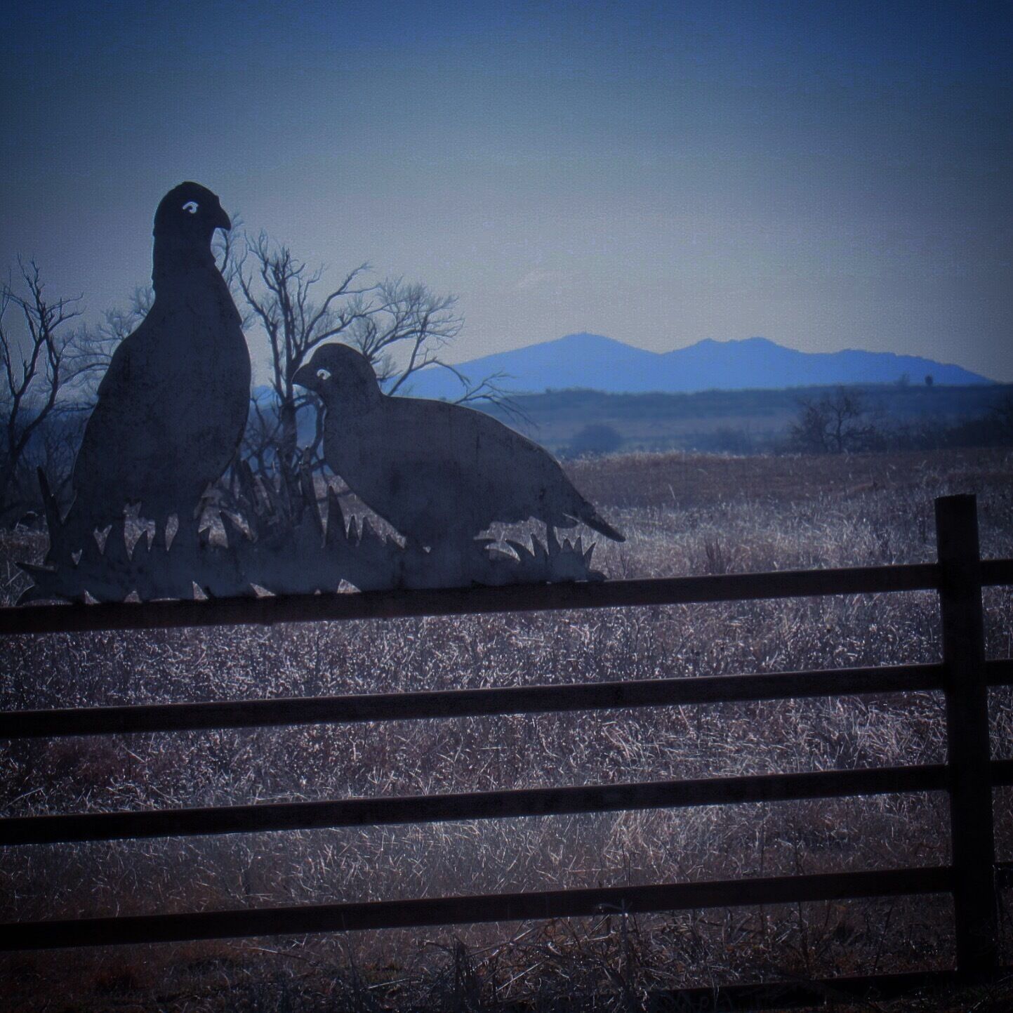 Two birds perched on a fence with a mountainous landscape in the background.