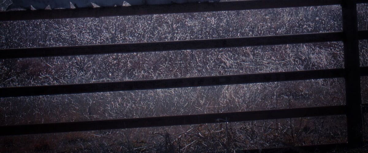 Two birds perched on a fence with a mountainous landscape in the background.