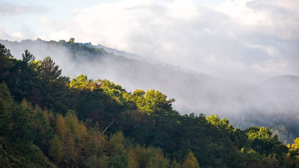 Morning yellow sunrise sunlight fog mist clouds sky and golden fall autumn foliage season on road to Dolly Sods, West Virginia mountains near Wardensville