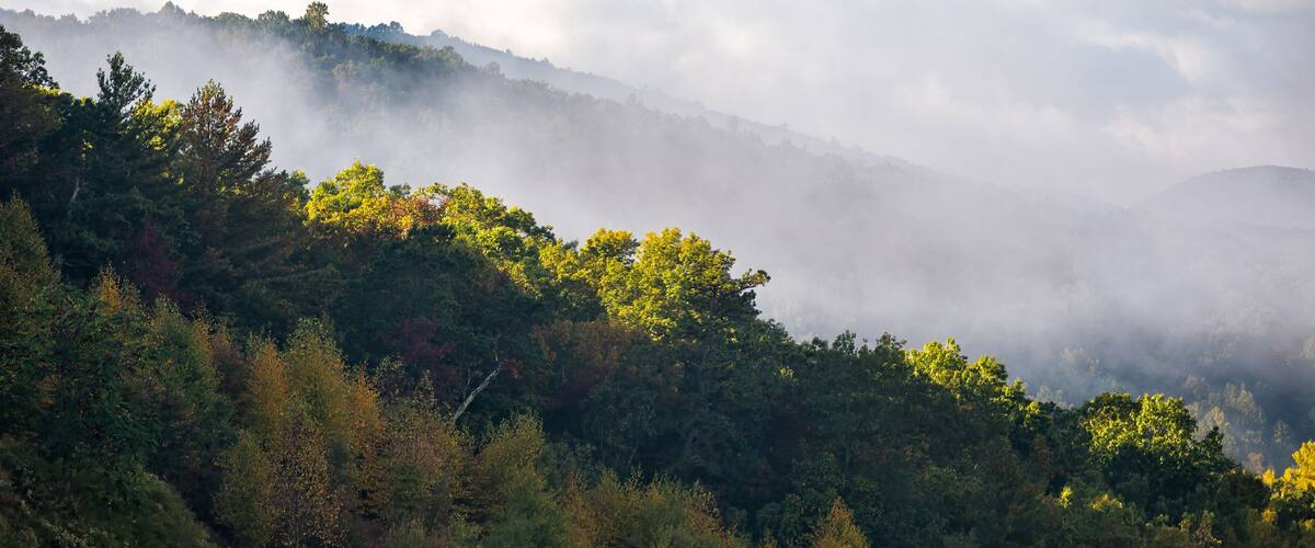 A forested mountain landscape with mist-covered peaks and dense green foliage.