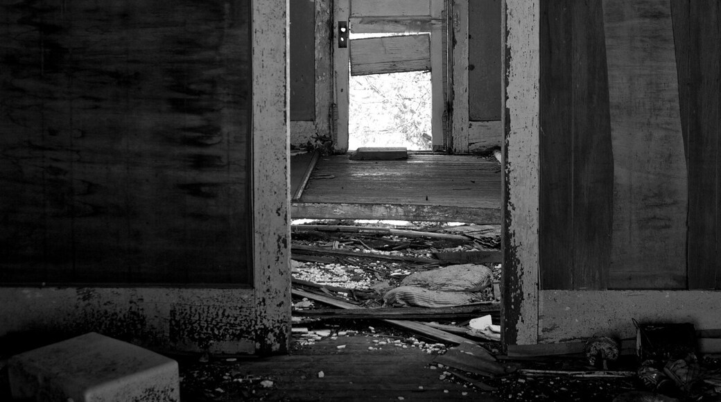This was another photo from my trip back in July 2014. It was a house that was sitting alone on the side of the road. There was no front door so you could stand on the cement porch steps and see straight in.
This was taken looking through the front door right to the back. It had obviously seen hard times with the warped floor and the torn water stained walls. There was still something quiet and peaceful about it though, as if the house accepted that it had been left behind. And as there was no sign of any person having been around for a long time, there were signs of wildlife. Birds, Lizards and the largest grasshoppers I had ever seen were just a few of the things scurrying around.
I do not suggest waking into the building at all if you stop while passing by. The floor could be unsteady. #architecture
#roadtrip