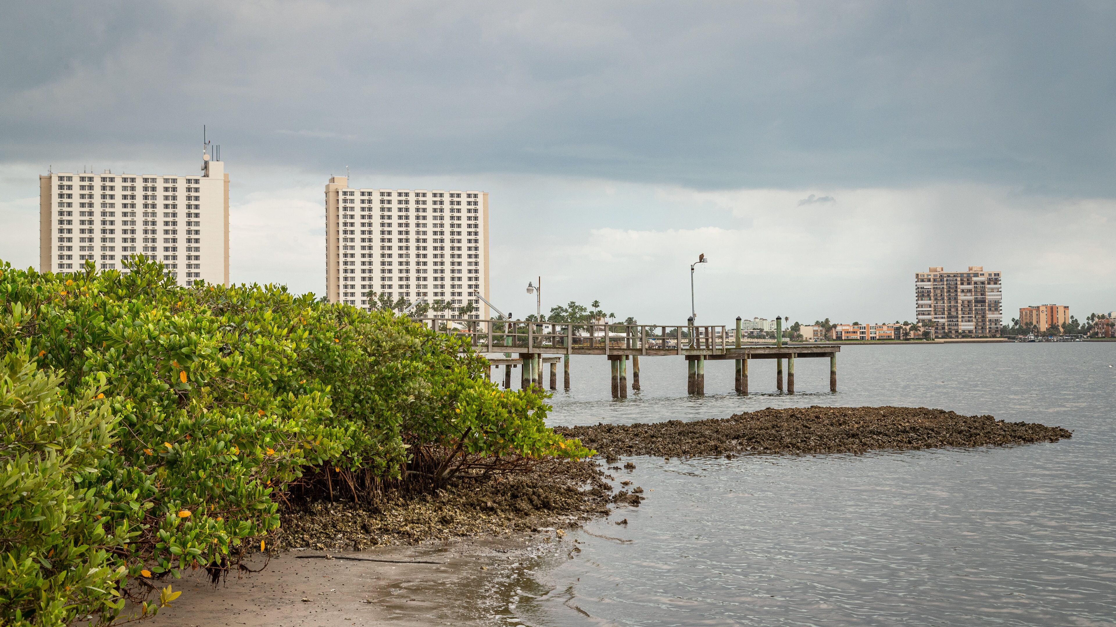 South Pasadena showing a lake or waterhole