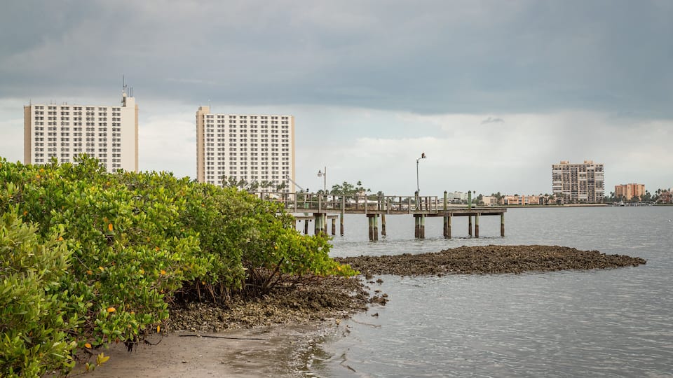 South Pasadena showing a lake or waterhole
