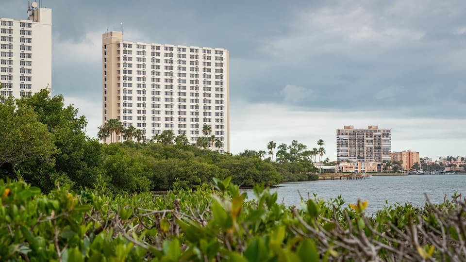 South Pasadena featuring a lake or waterhole