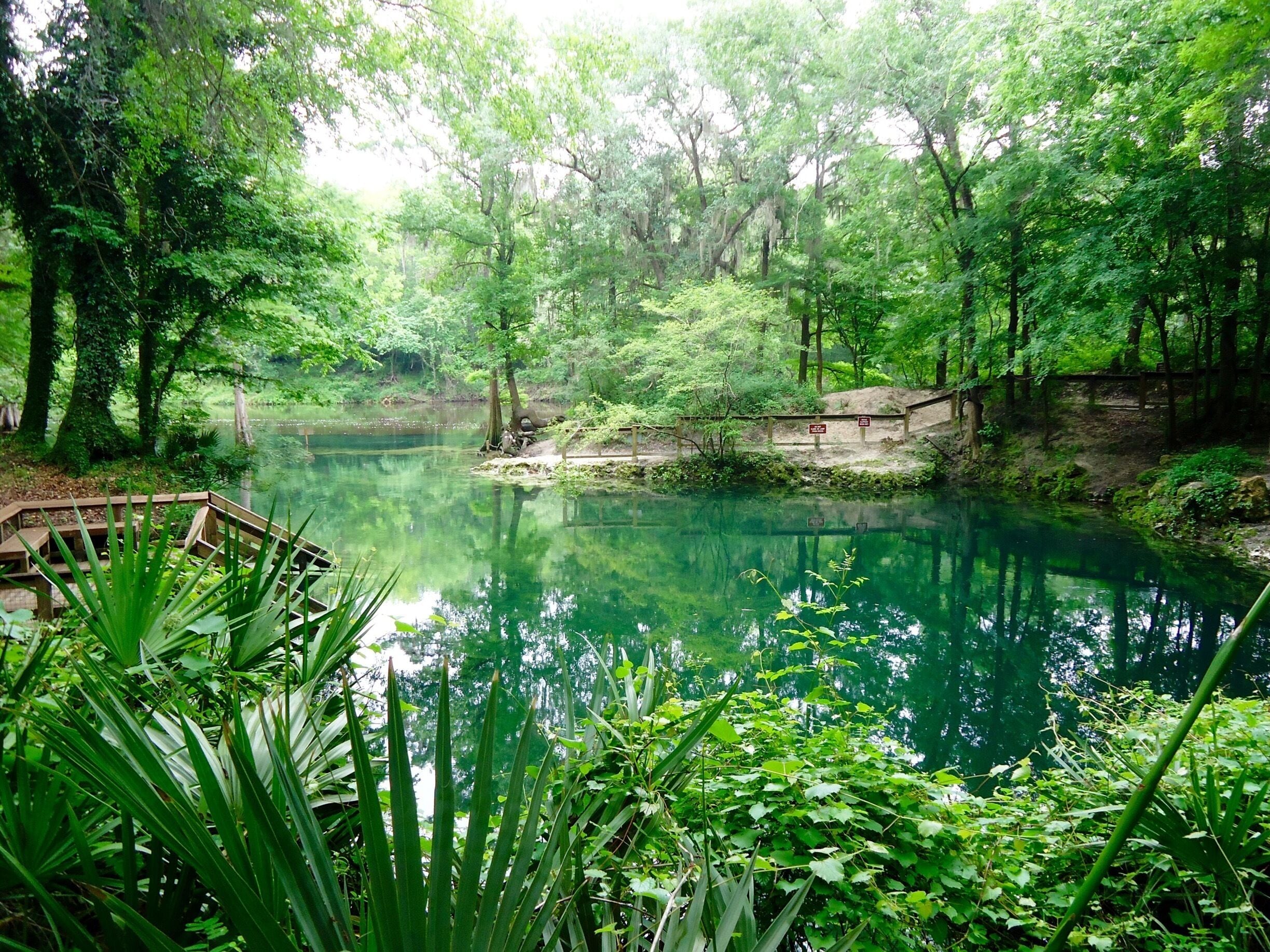 It's called "Blue Spring," but there was a decidedly green tint to the water the day I stopped by for a visit.