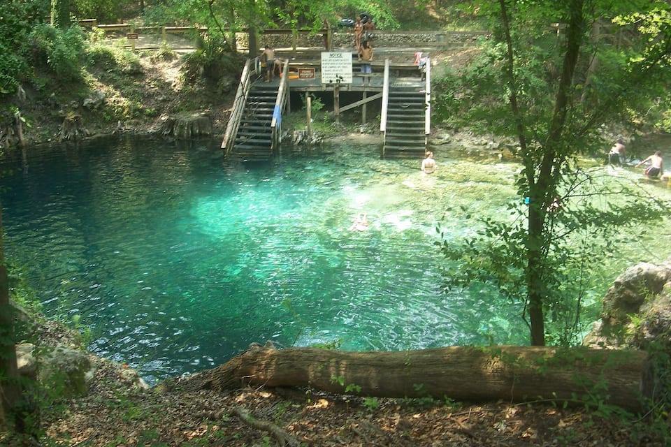 Une piscine d’eau cristalline, entourée d’arbres, et une jetée en bois où se trouvent des personnes.