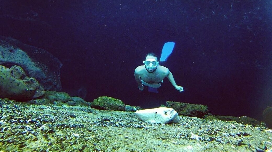 #aquatrove #Florida #spring #diving #water #adventure