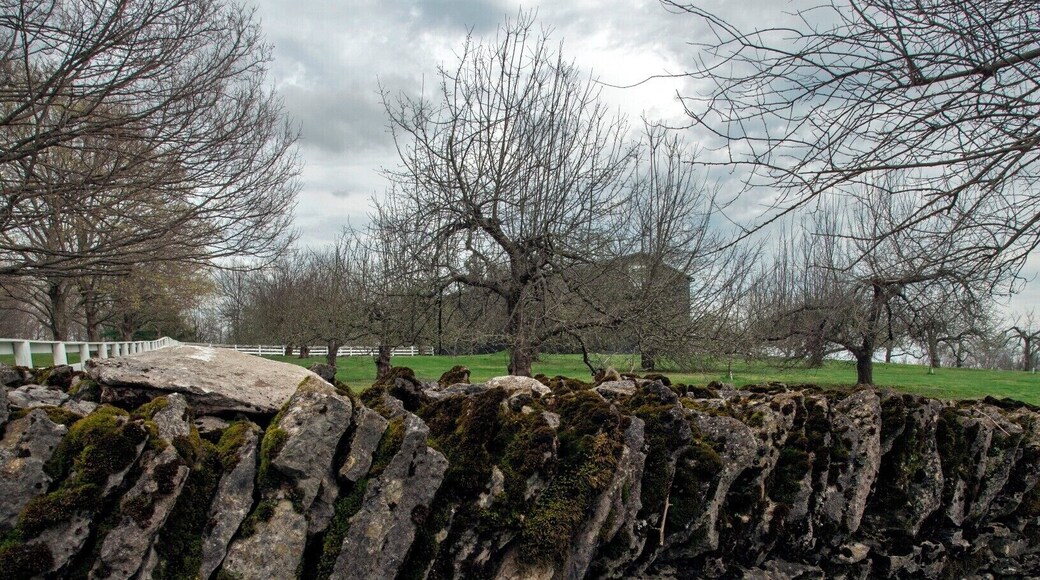 The trees behind the wall are very important. They are called the Trees of Life. Inspiring Shaker artisans, theologians, and spirituality for years. they represent beliefs on life unity, spiritual growth, and connect to beliefs of heavenly works. They are apple trees, producing fruit in the fall.
For more information: http://www.afanews.com/articles/item/1641-a-cutwork-tree-of-life-in-the-manner-of-hannah-cohoon#.VSfwnxPF9up