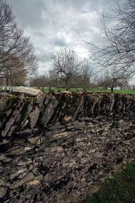 The trees behind the wall are very important. They are called the Trees of Life. Inspiring Shaker artisans, theologians, and spirituality for years. they represent beliefs on life unity, spiritual growth, and connect to beliefs of heavenly works. They are apple trees, producing fruit in the fall. 
For more information: http://www.afanews.com/articles/item/1641-a-cutwork-tree-of-life-in-the-manner-of-hannah-cohoon#.VSfwnxPF9up