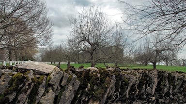 The trees behind the wall are very important. They are called the Trees of Life. Inspiring Shaker artisans, theologians, and spirituality for years. they represent beliefs on life unity, spiritual growth, and connect to beliefs of heavenly works. They are apple trees, producing fruit in the fall.
For more information: http://www.afanews.com/articles/item/1641-a-cutwork-tree-of-life-in-the-manner-of-hannah-cohoon#.VSfwnxPF9up