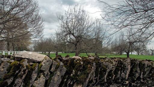 The trees behind the wall are very important. They are called the Trees of Life. Inspiring Shaker artisans, theologians, and spirituality for years. they represent beliefs on life unity, spiritual growth, and connect to beliefs of heavenly works. They are apple trees, producing fruit in the fall.
For more information: http://www.afanews.com/articles/item/1641-a-cutwork-tree-of-life-in-the-manner-of-hannah-cohoon#.VSfwnxPF9up