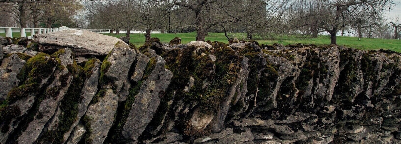 The trees behind the wall are very important. They are called the Trees of Life. Inspiring Shaker artisans, theologians, and spirituality for years. they represent beliefs on life unity, spiritual growth, and connect to beliefs of heavenly works. They are apple trees, producing fruit in the fall.
For more information: http://www.afanews.com/articles/item/1641-a-cutwork-tree-of-life-in-the-manner-of-hannah-cohoon#.VSfwnxPF9up