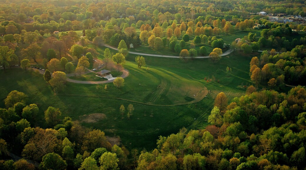 ์ธ์ธํธ ๋ฆฌ์ง์ค ํ๋