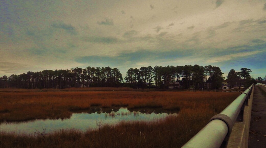 #RiverPhoto
Love Creek Bridge