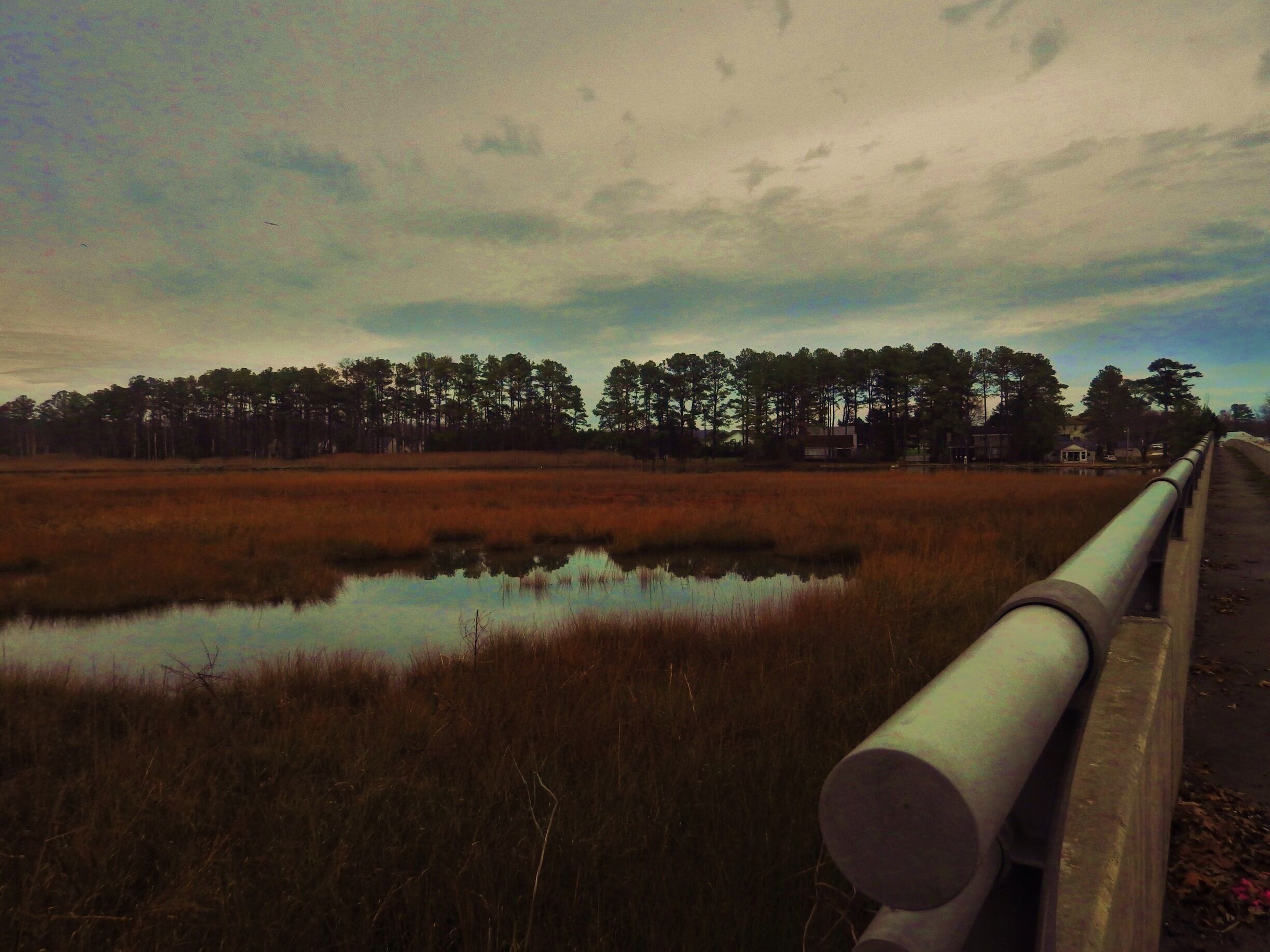 A bridge over a marshy area with a line of trees in the background.
